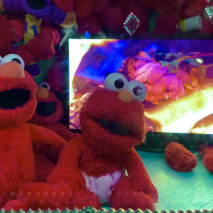 Meet your Posher, Ellie